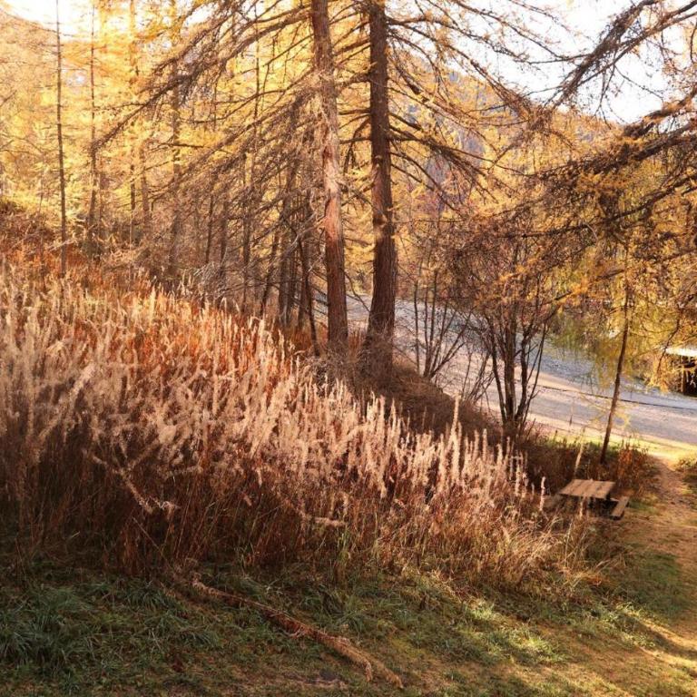 Résidence Le Pouzenc - Studio 6 personnes accès direct aux pistes MAE-7004 - Monolocale - 10