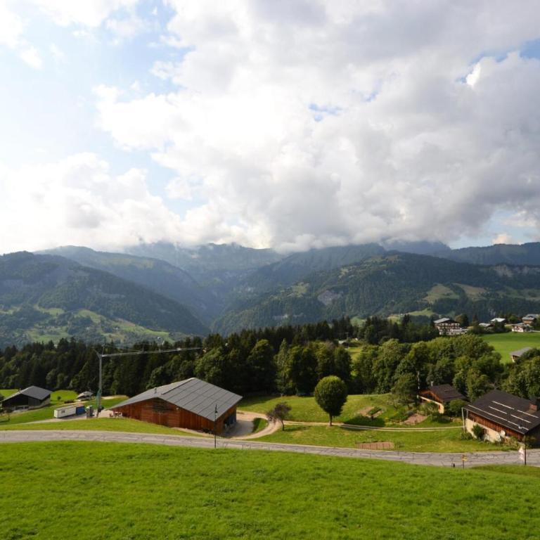 Résidence La Sapiniere - Appartement 5 personnes proche des pistes de l'Espace Diamant MAE-7454 - Appartement - 3