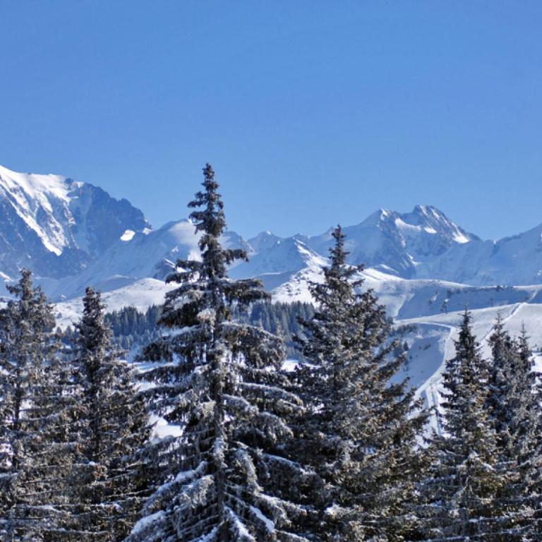 Résidence La Sapiniere - Appartement 5 personnes proche des pistes de l'Espace Diamant MAE-7454 - Appartement - 10
