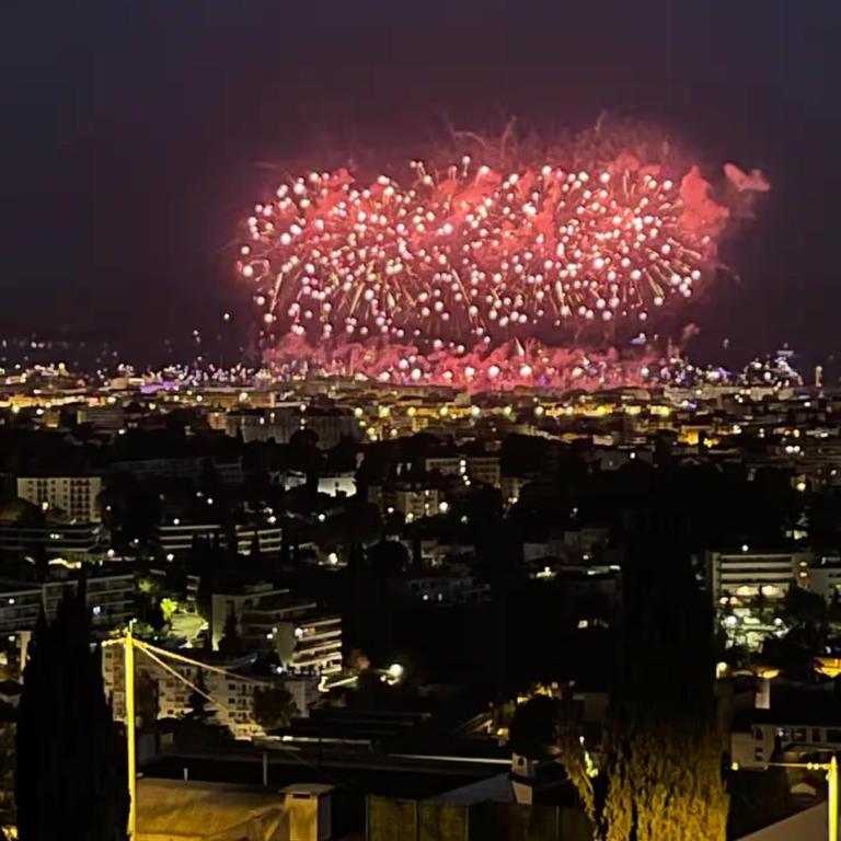 Grande villa, 6 chambres, vue mer, montagne & ville de Cannes - Villa - 5