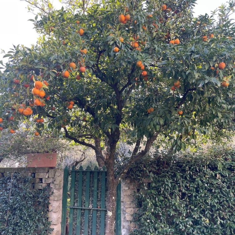 ROME Spacious Romantic House - Haus mit 2 Schlafzimmern - 38