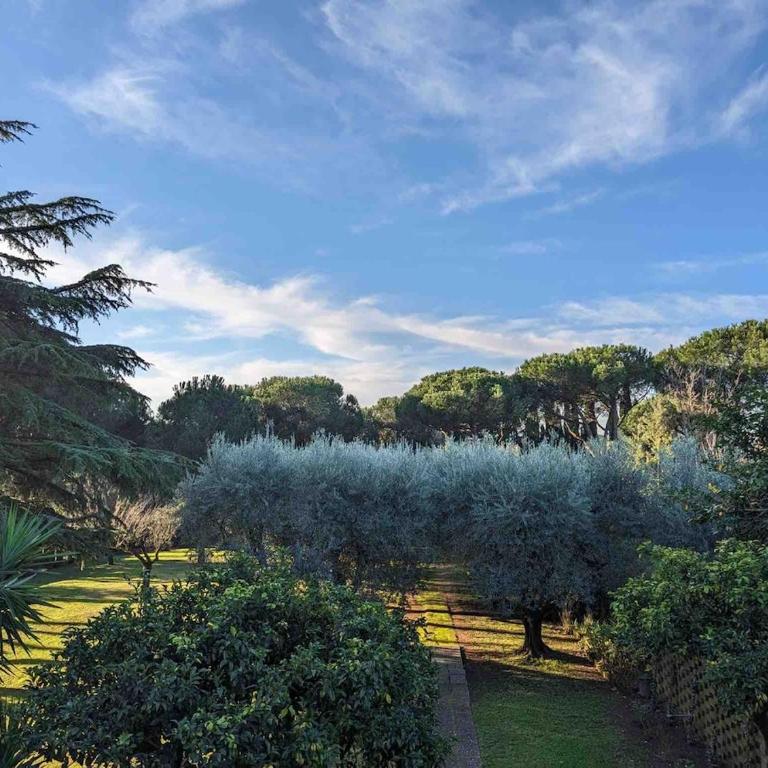ROME Spacious Romantic House - Haus mit 2 Schlafzimmern - 41