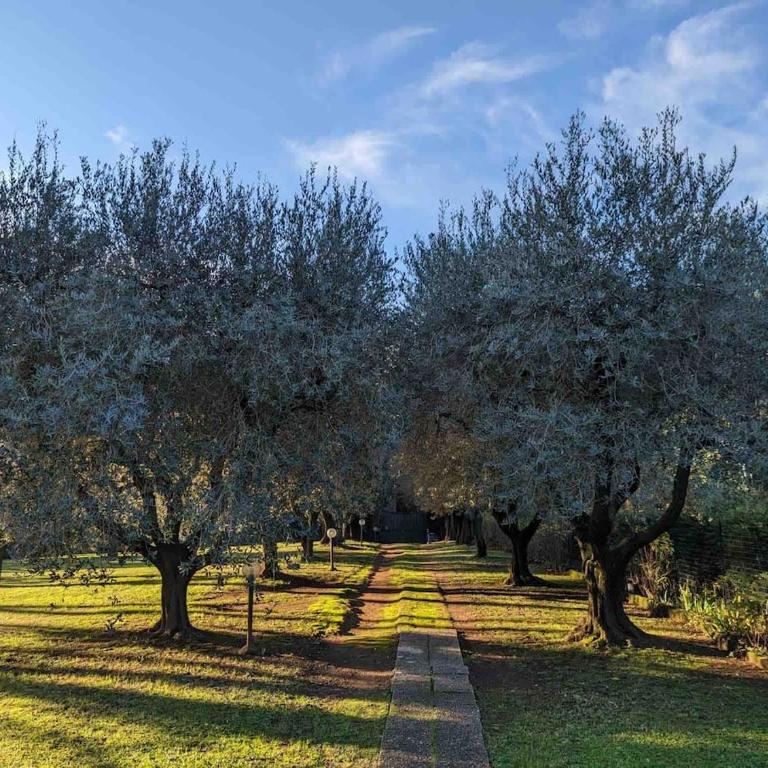 ROME Spacious Romantic House - Haus mit 2 Schlafzimmern - 43