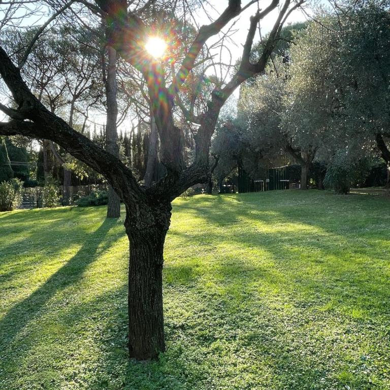 ROME Spacious Romantic House - Haus mit 2 Schlafzimmern - 47