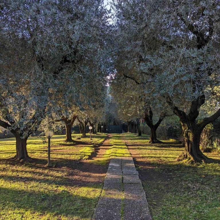 ROME Spacious Romantic House - Haus mit 2 Schlafzimmern - 48