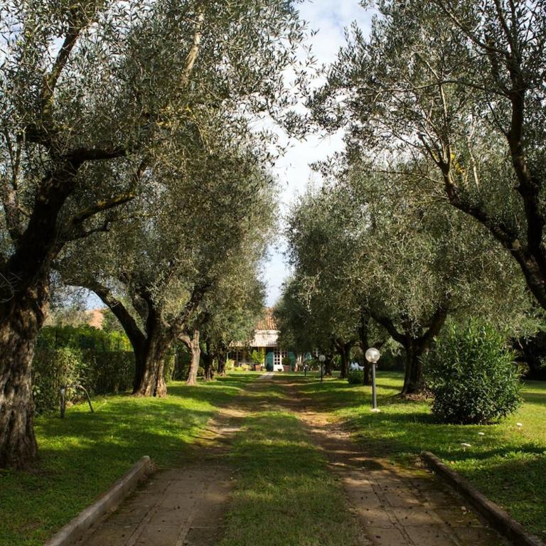 ROME Spacious Romantic House - Haus mit 2 Schlafzimmern - 50