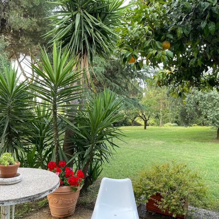 ROME Spacious Romantic House - Haus mit 2 Schlafzimmern - 52