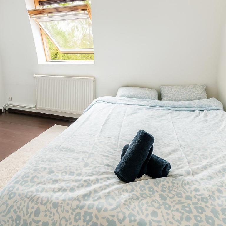 Chambre tout confort proche centre Lille - Chambre Double Supérieure - 1