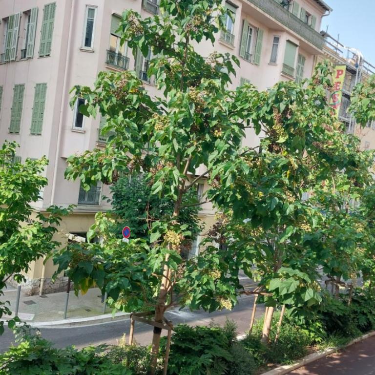 Duplex Carré d'Or - 100m promenade des Anglais - Studio Standard - 22