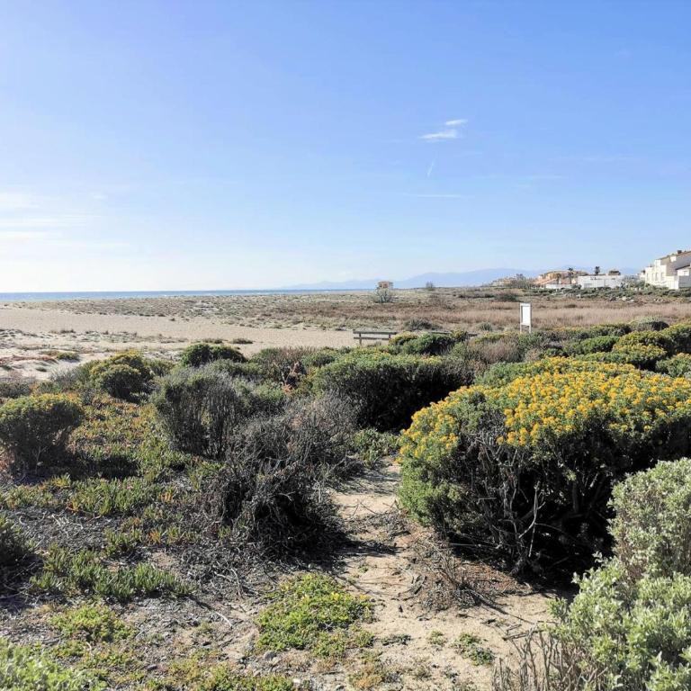 Résidence Maisons De La Mer 1 - Magnifique studio rénové pour deux personnes en front de mer à Port Leucate. Réf: 1MM1_91 MAE-6954 - Estudio - 14