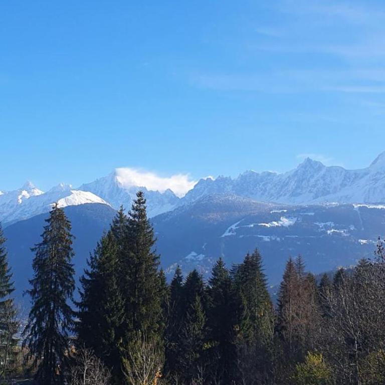 Résidence La Cry - Appartement 3 pièces - 6 personnes Vue Mont-Blanc MAE-5604 - Appartement - 12