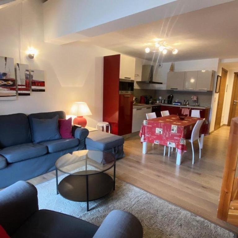 Résidence Loup Argente - Superbe duplex très lumineux, face aux pistes MAE-3944 - Apartment - 1