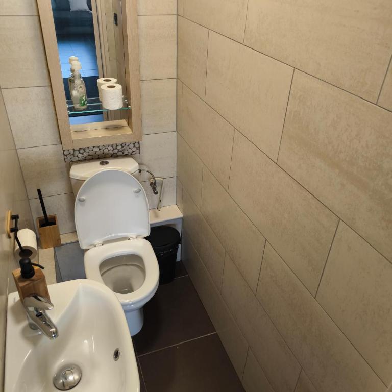 ThePlaceToB Coeur Mulhouse Apartment - Apartment mit 2 Schlafzimmern - 12