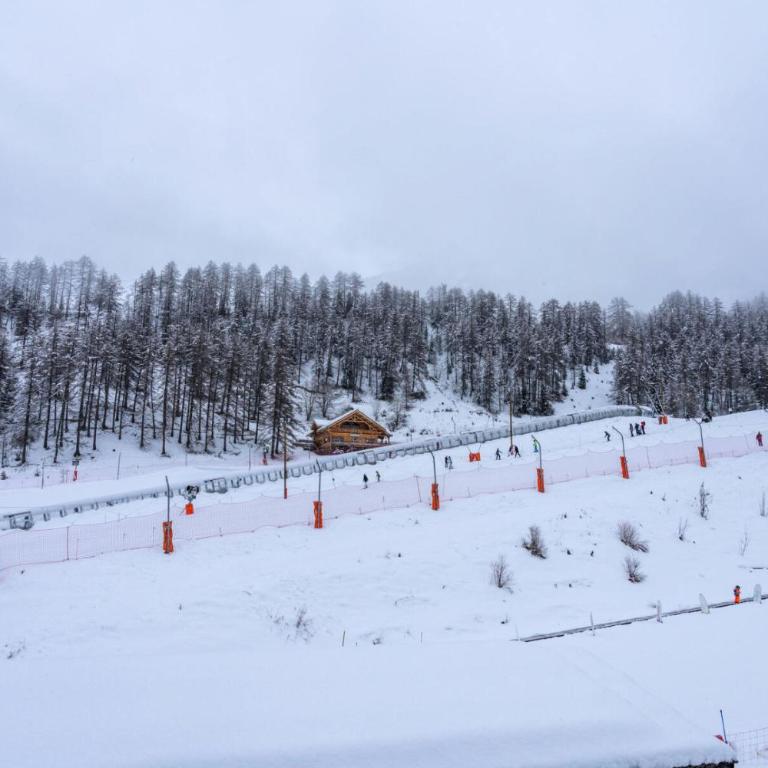 Résidence Le Parc Des Airelles - Chaleureux T2 avec superbe vue sur les pistes MAE-3621 - Appartamento - 10