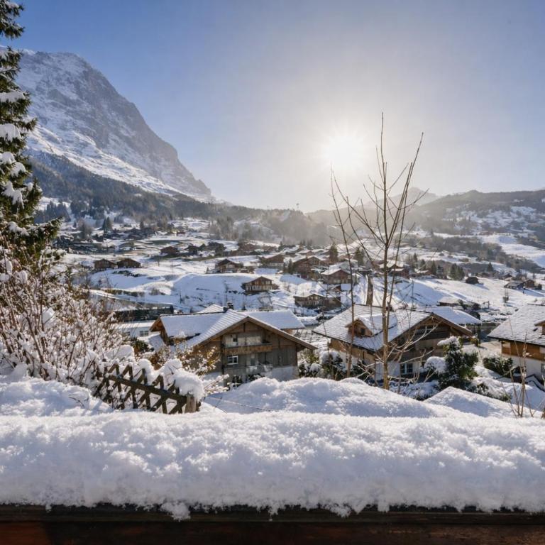 Cozy traditional Chalet, Stunning Mountain Views - Chalet - 25