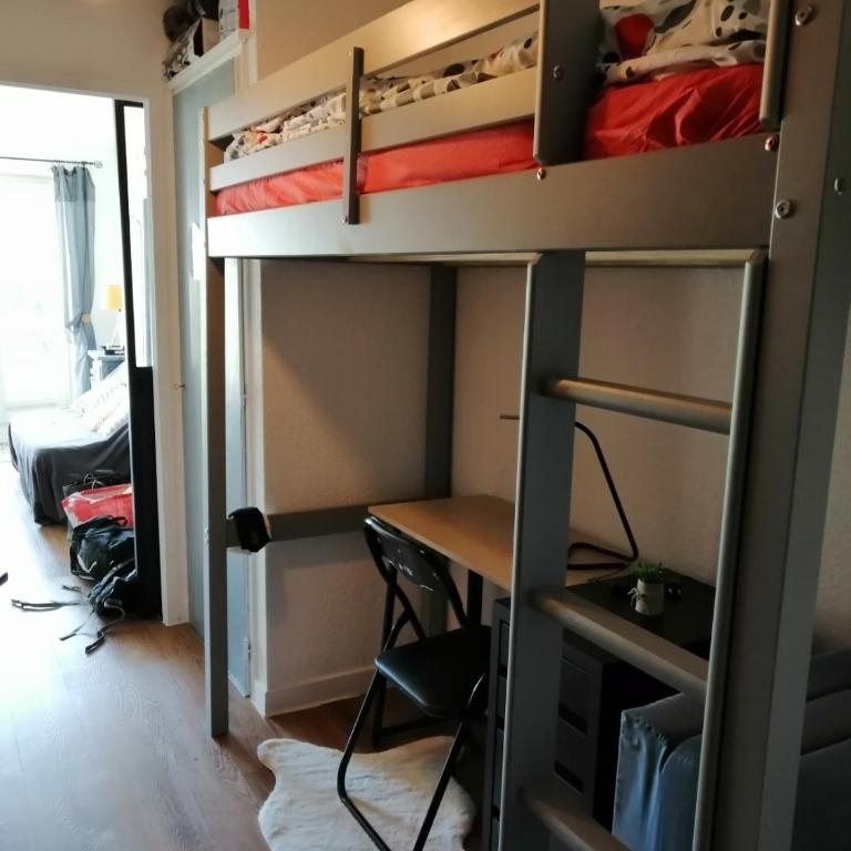 SUPERBE STUDIO FACE AU LAC DU BOURGET AVEC TERRASSE curistes ou couples - Apartment mit 1 Schlafzimmer - 3