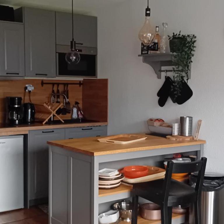 SUPERBE STUDIO FACE AU LAC DU BOURGET AVEC TERRASSE curistes ou couples - Apartment mit 1 Schlafzimmer - 5