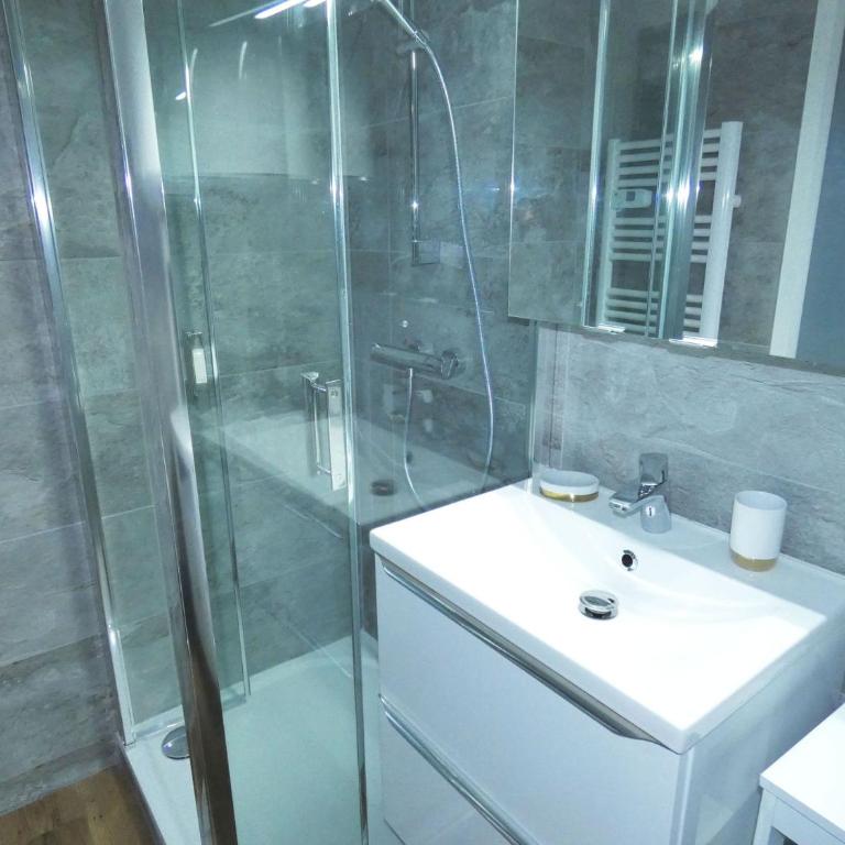 SUPERBE STUDIO FACE AU LAC DU BOURGET AVEC TERRASSE curistes ou couples - Apartment mit 1 Schlafzimmer - 8