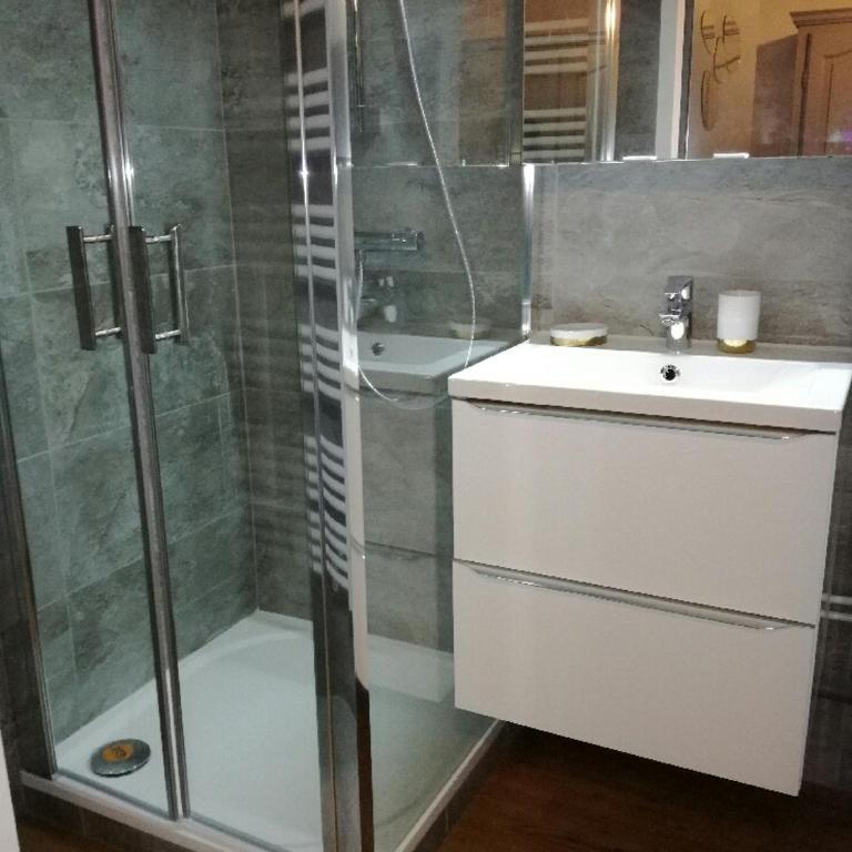 SUPERBE STUDIO FACE AU LAC DU BOURGET AVEC TERRASSE curistes ou couples - Apartment mit 1 Schlafzimmer - 10