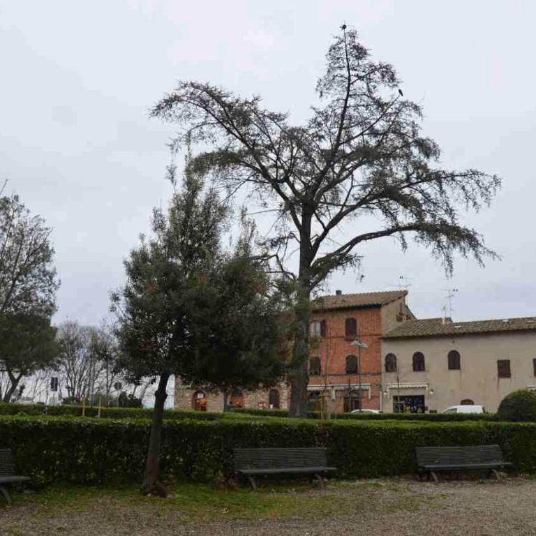 Casa Antonella - Appartamento con 2 Camere da Letto - 2