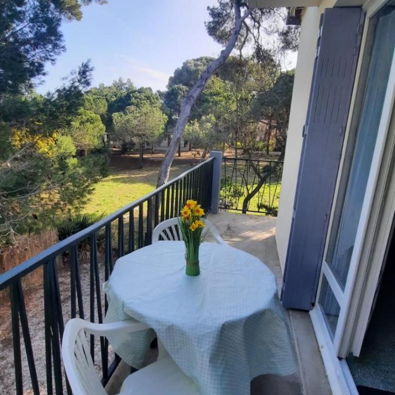 T2Leucate La Franqui Calme Mer Clim Parking P - Appartement - Vue sur Mer - 18
