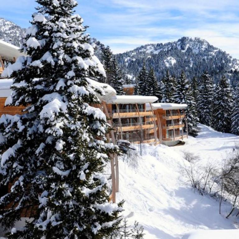 Chamrousse - Beau T2 - 200m des remontées mécaniques - Apartamento de 1 dormitorio - 24