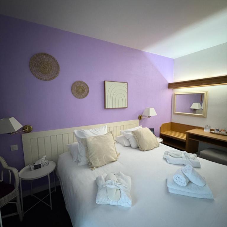Garden Hotel Rennes Centre Gare - Chambre Supérieure - 25