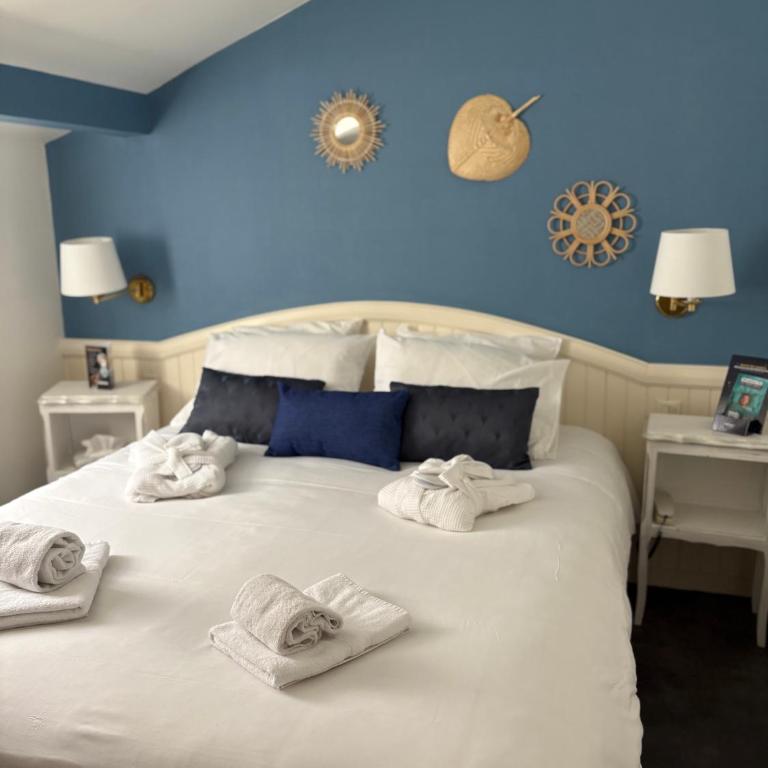 Garden Hotel Rennes Centre Gare - Chambre Supérieure - 5