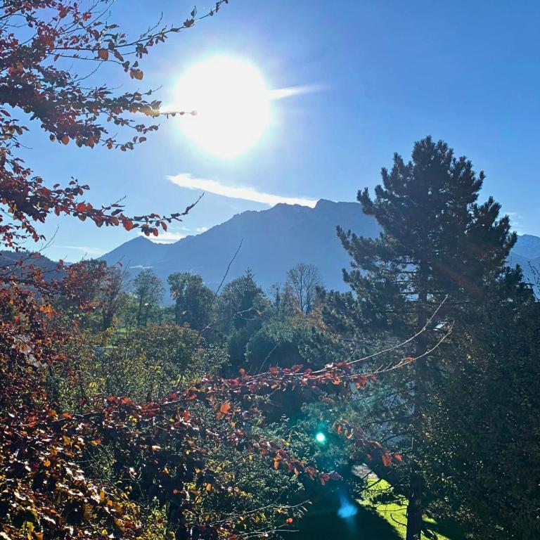 Rosels Mountain Lodge - Ferienwohnung mit Schwimmbad, Sauna & Bergblick - Oberaudorf Bayern - Studio-Apartment mit Balkon - 16