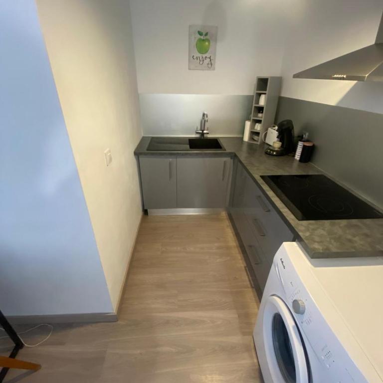 Appartement situé en plein centre ville a 2 pas du marché couvert et de la plage - Apartamento de 1 dormitorio - 20
