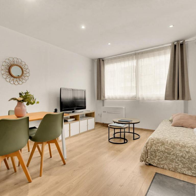 Charme Riquet Jean Jaures - Appartement 1 Chambre - 7