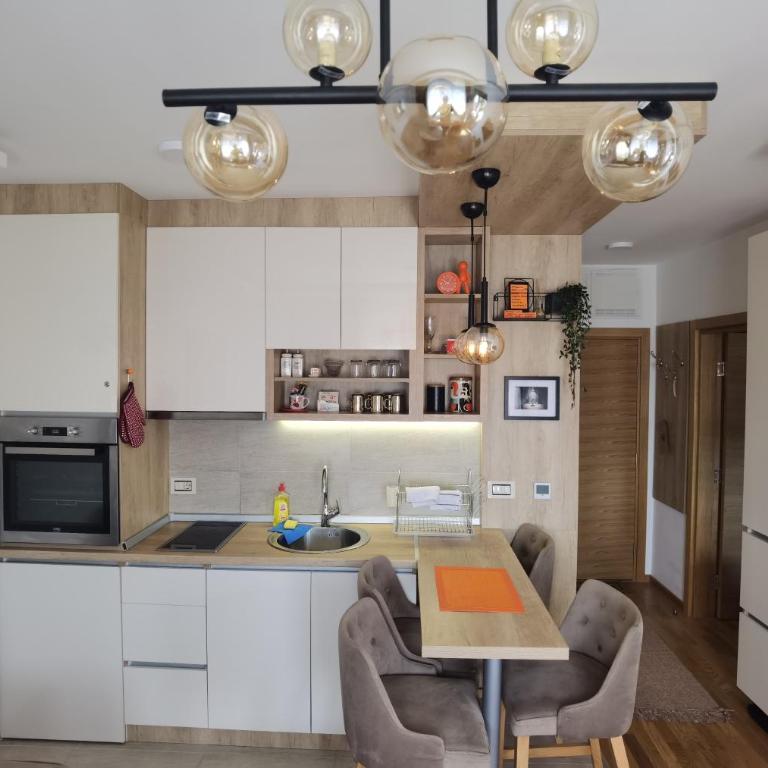 Zlatibor apartman 34 Wellness&Spa - Apartman sa 1 Spavaćom Sobom - 53