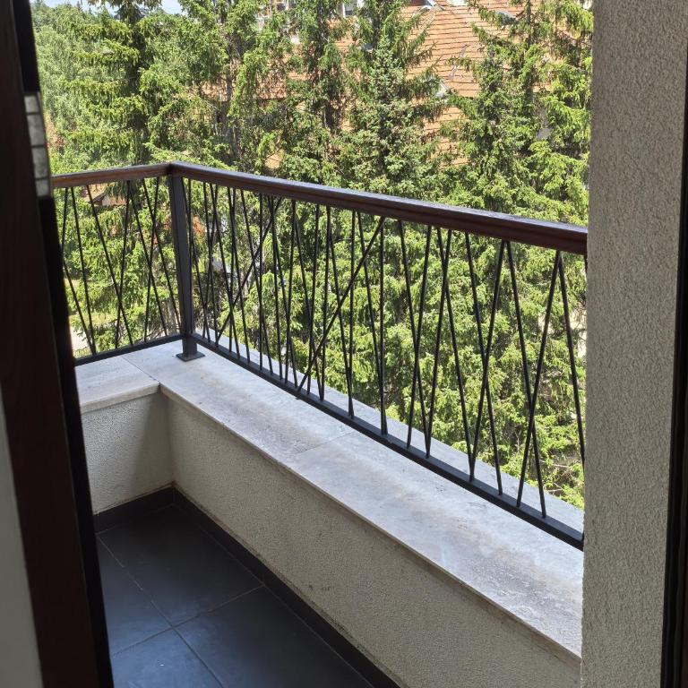 Zlatibor apartman 34 Wellness&Spa - Apartman sa 1 Spavaćom Sobom - 68