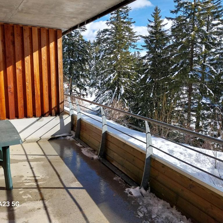 Appartement ECRIN DES NEIGES 1750 accès direct pistes - Apartamento de 2 dormitorios - 3