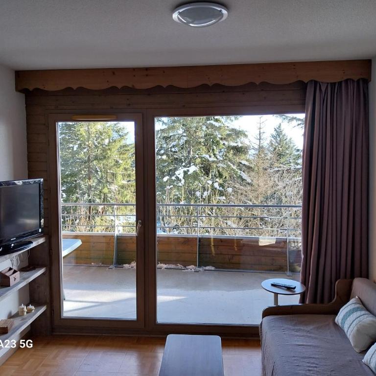 Appartement ECRIN DES NEIGES 1750 accès direct pistes - Apartamento de 2 dormitorios - 13