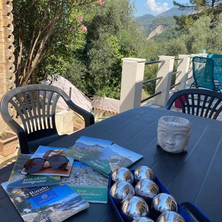 Charmante Villa individuelle Niçoise avec piscine privée proche Monaco - Villa - 22