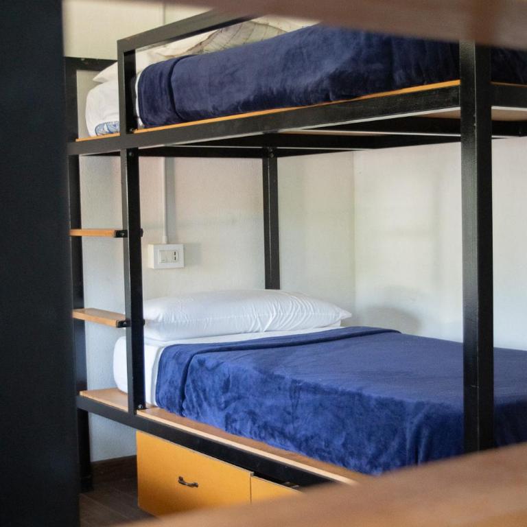 Wood Side Hostel - Cama en habitación compartida con 4 camas - 1