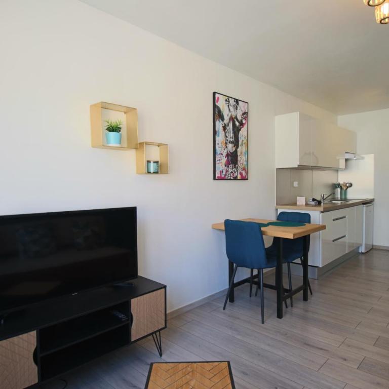 Appartement T1 31m2 lumineux centre-ville wifi - Appartamento con 1 Camera da Letto - 4