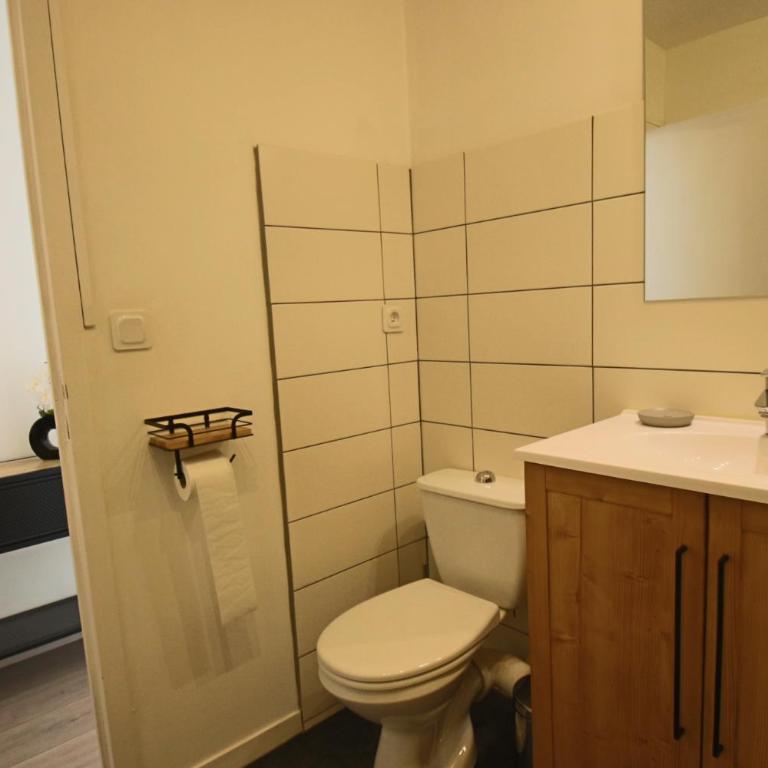Appartement T1 31m2 lumineux centre-ville wifi - Appartamento con 1 Camera da Letto - 17