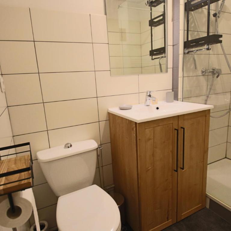 Appartement T1 31m2 lumineux centre-ville wifi - Appartamento con 1 Camera da Letto - 15