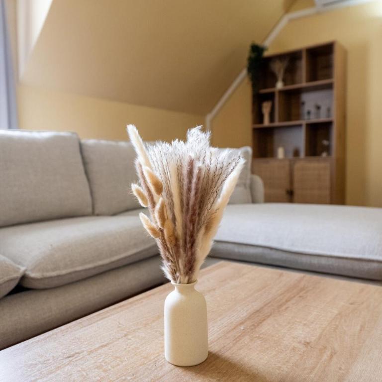New and renovated penthouse with a terrace in the center 2C - Two-Bedroom Apartment - 19