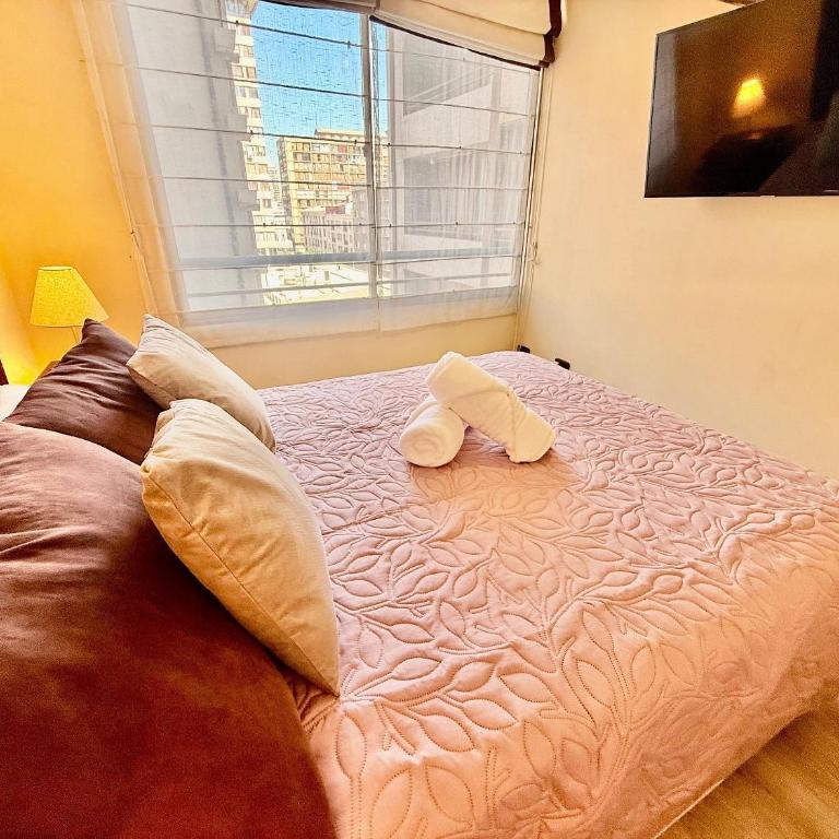 Department steps from Lastarria and Bellas Artes - Apartment - 4