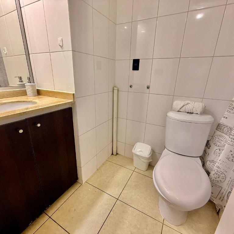 Department steps from Lastarria and Bellas Artes - Apartment - 6