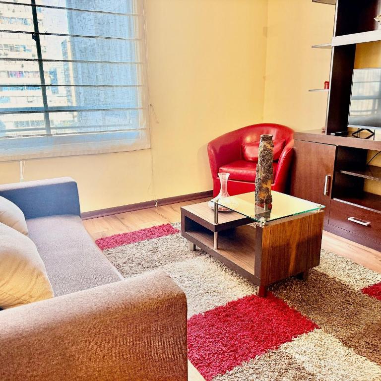 Department steps from Lastarria and Bellas Artes - Apartment - 7