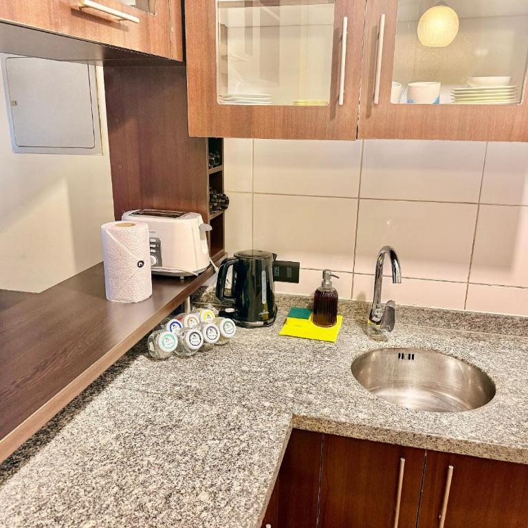 Department steps from Lastarria and Bellas Artes - Apartment - 10