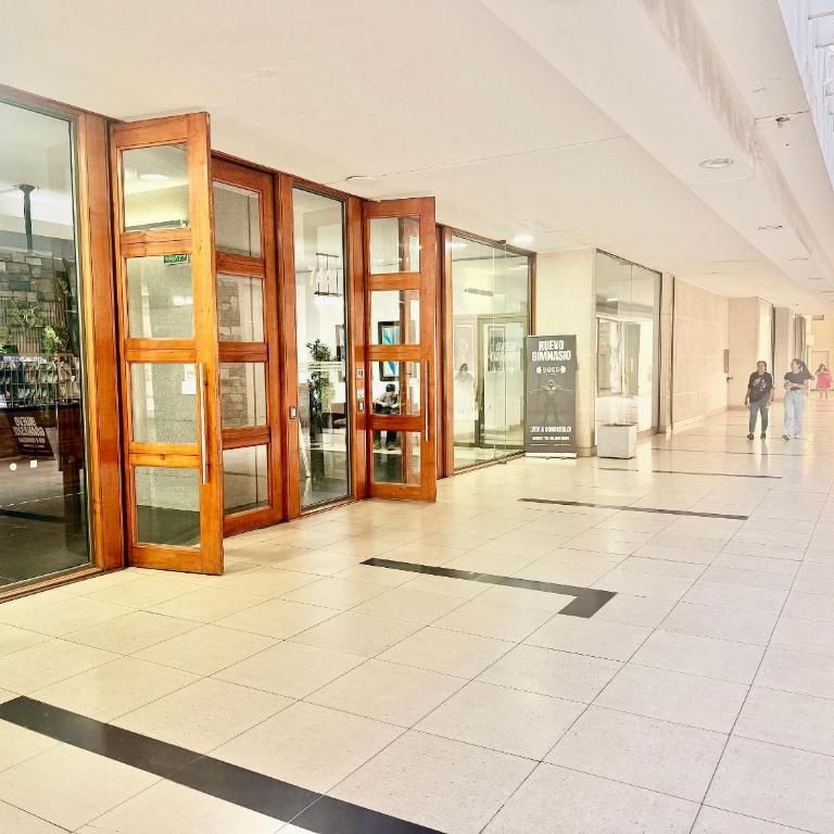 Department steps from Lastarria and Bellas Artes - Apartment - 14