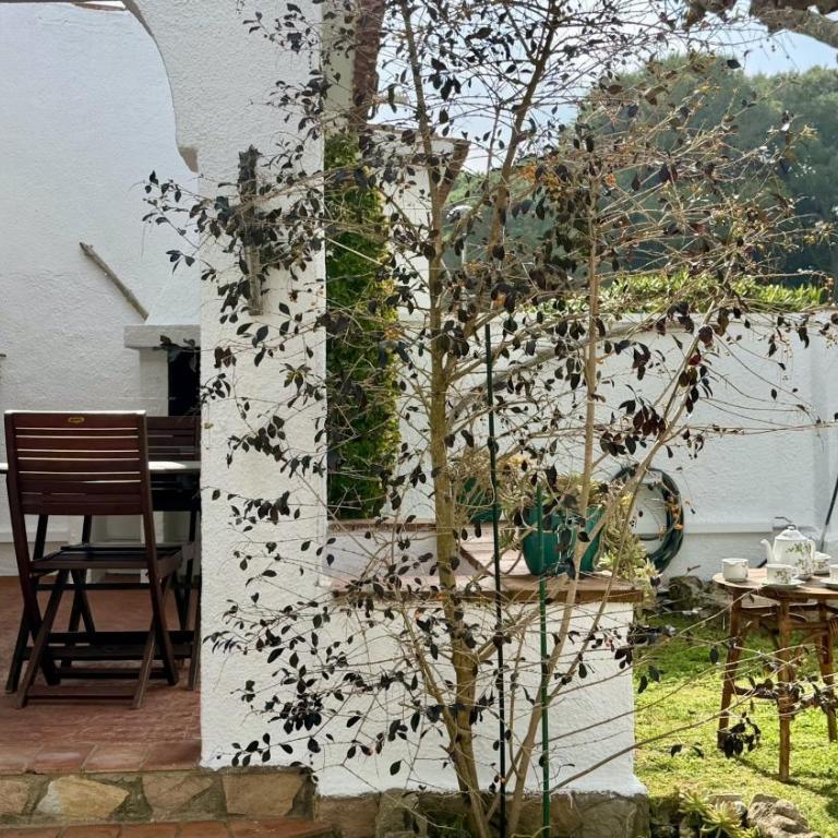 Casa Edna - Casa - 5