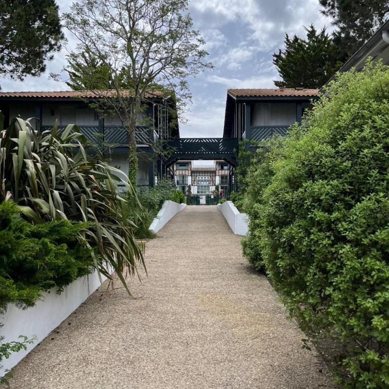 App au Golf de Moliets - Appartement 1 Chambre - 31