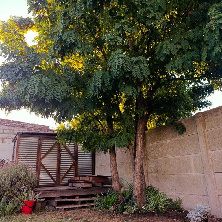 La Micha - Casa de 2 dormitorios - 3