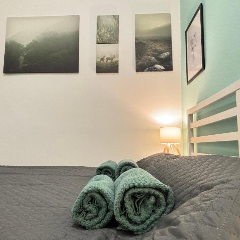 So Cozy - One-Bedroom Apartment - 6